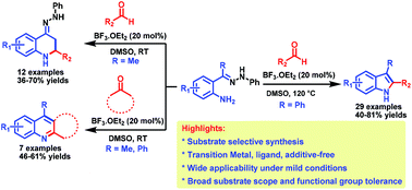 Graphical abstract: Substrate selective synthesis of indole, tetrahydroquinoline and quinoline derivatives via intramolecular addition of hydrazones and imines