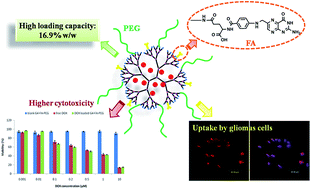 Graphical abstract: A poly(amidoamine) dendrimer-based drug carrier for delivering DOX to gliomas cells