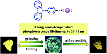 Graphical abstract: Highly emissive carbazole-based gold(i) complex with a long room-temperature phosphorescence lifetime and self-reversible mechanochromism characteristics