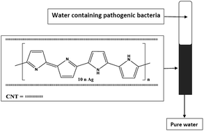 Graphical abstract: Synthesis of nanocomposites of polypyrrole/carbon nanotubes/silver nano particles and their application in water disinfection