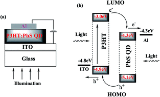 Graphical abstract: A solution-processed near-infrared polymer: PbS quantum dot photodetectors