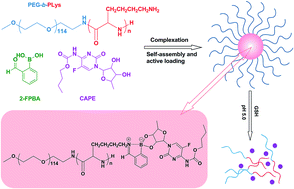 Graphical abstract: Iminoboronate-based dual-responsive micelles via subcomponent self-assembly for hydrophilic 1,2-diol-containing drug delivery