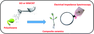 Graphical abstract: The influence of carbon nanotubes and graphene oxide sheets on the morphology, porosity, surface characteristics and thermal and electrical properties of polysiloxane derived ceramics