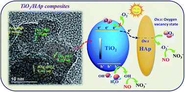 Graphical abstract: Enhanced photocatalytic removal of NO over titania/hydroxyapatite (TiO2/HAp) composites with improved adsorption and charge mobility ability