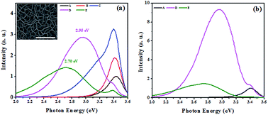 Graphical abstract: Structural, optical and electronic properties of a Mg incorporated GaN nanowall network