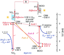 Graphical abstract: A solar cell for maximizing voltage up to the level difference of two photocatalysts: optimization and clarification of the electron pathway