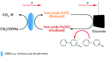 Graphical abstract: Addition of iron oxides in sediments enhances 2,3,4,5-tetrachlorobiphenyl (PCB 61) dechlorination by low-voltage electric fields