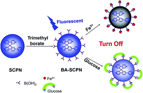 Graphical abstract: Controlled synthesis of soluble conjugated polymeric nanoparticles for fluorescence detection