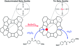Graphical abstract: Regioselective Baeyer–Villiger oxidation of lignin model compounds with tin beta zeolite catalyst and hydrogen peroxide