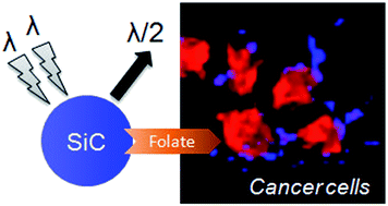 Graphical abstract: Folate-modified silicon carbide nanoparticles as multiphoton imaging nanoprobes for cancer-cell-specific labeling