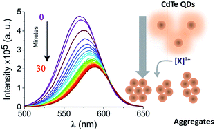 Graphical abstract: Optical detection of gadolinium(iii) ions via quantum dot aggregation