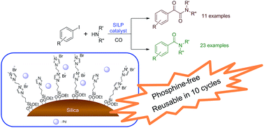 Graphical abstract: Mono- and double carbonylation of aryl iodides with amine nucleophiles in the presence of recyclable palladium catalysts immobilised on a supported dicationic ionic liquid phase