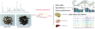 Graphical abstract: A comparative study of the main constituents and antidepressant effects of raw and vinegar-baked Bupleuri Radix in rats subjected to chronic unpredictable mild stress