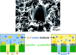 Graphical abstract: Selective filtration of oil/water mixtures with bioinspired porous membranes