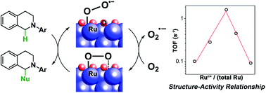 Graphical abstract: Moderate oxidation levels of Ru nanoparticles enhance molecular oxygen activation for cross-dehydrogenative-coupling reactions via single electron transfer