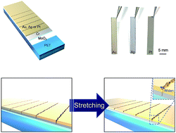 Graphical abstract: Crack-based strain sensor with diverse metal films by inserting an inter-layer