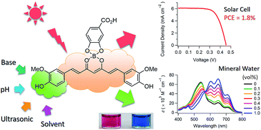 Graphical abstract: Multifunctional organic dyes: anion-sensing and light-harvesting properties of curcumin boron complexes