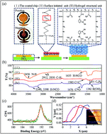 Graphical abstract: High performance boronic acid-containing hydrogel for biocompatible continuous glucose monitoring