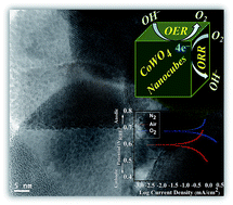 Graphical abstract: Bifunctional electro-catalytic performances of CoWO4 nanocubes for water redox reactions (OER/ORR)