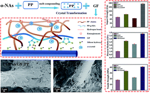 Graphical abstract: Combined effect of α-nucleating agents and glass fiber reinforcement on a polypropylene composite: a balanced approach