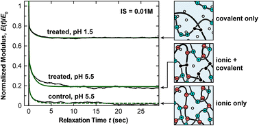 Graphical abstract: Non-additive impacts of covalent cross-linking on the viscoelastic nanomechanics of ionic polyelectrolyte complexes