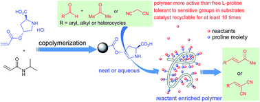 Graphical abstract: Poly(N-isopropylacrylamide-co-l-proline)-catalyzed Claisen–Schmidt and Knoevenagel condensations: unexpected enhanced catalytic activity of the polymer catalyst