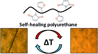 Graphical abstract: One-component Diels–Alder based polyurethanes: a unique way to self-heal