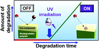 Graphical abstract: Photo-triggered enzymatic degradation of biodegradable polymers