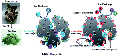 Graphical abstract: Insight into mechanisms of fluoride removal from contaminated groundwater using lanthanum-modified bone waste