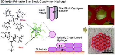 Graphical abstract: 3D inkjet printing of star block copolymer hydrogels cross-linked using various metallic ions