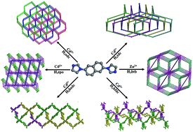 Graphical abstract: Structural diversity of six metal–organic frameworks from a rigid bisimidazole ligand and their adsorption of organic dyes