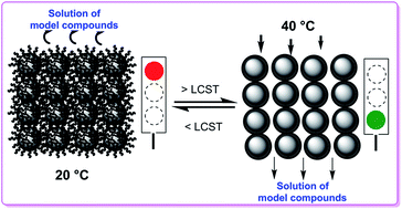 Graphical abstract: Packed hybrid silica nanoparticles as sorbents with thermo-switchable surface chemistry and pore size for fast extraction of environmental pollutants