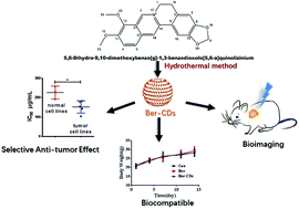 Graphical abstract: Berberine-based carbon dots for selective and safe cancer theranostics