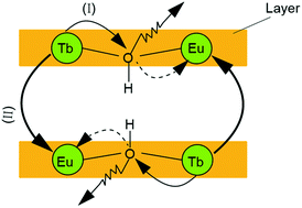 Graphical abstract: Energy transfer between rare earths in layered rare-earth hydroxides
