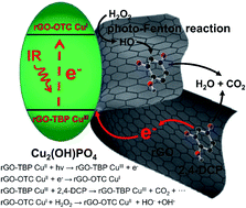 Graphical abstract: Cu2(OH)PO4/reduced graphene oxide nanocomposites for enhanced photocatalytic degradation of 2,4-dichlorophenol under infrared light irradiation