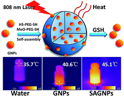 Graphical abstract: A feasible strategy for self-assembly of gold nanoparticles via dithiol-PEG for photothermal therapy of cancers