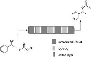 Graphical abstract: Continuous flow dynamic kinetic resolution of rac-1-phenylethanol using a single packed-bed containing immobilized CAL-B lipase and VOSO4 as racemization catalysts