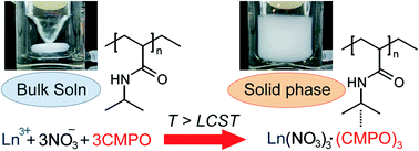 Graphical abstract: Solid phase extraction based on the phase transition of poly(N-isopropylacrylamide): the extraction behaviour of lanthanide(iii) ions in highly acidic solutions