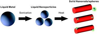 Graphical abstract: Shape-transformable liquid metal nanoparticles in aqueous solution