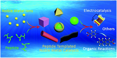 Graphical abstract: Peptide-templated noble metal catalysts: syntheses and applications