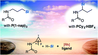 Graphical abstract: Rh-catalyzed regiodivergent hydrosilylation of acyl aminocyclopropanes controlled by monophosphine ligands