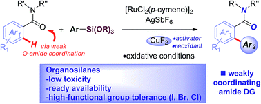 Graphical abstract: Highly chemoselective ruthenium(ii)-catalyzed direct arylation of cyclic and N,N-dialkyl benzamides with aryl silanes