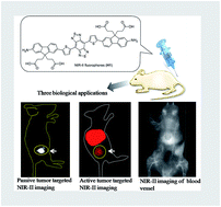 Graphical abstract: Novel bright-emission small-molecule NIR-II fluorophores for in vivo tumor imaging and image-guided surgery