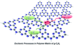 Graphical abstract: Insights into the excitonic processes in polymeric photocatalysts