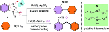 Graphical abstract: Denitrogenative Suzuki and carbonylative Suzuki coupling reactions of benzotriazoles with boronic acids