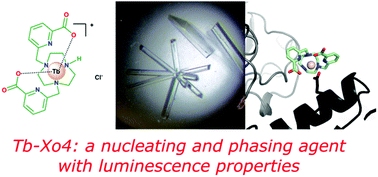 Graphical abstract: Crystallophore: a versatile lanthanide complex for protein crystallography combining nucleating effects, phasing properties, and luminescence