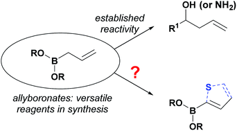 Graphical abstract: 3-Cyanoallyl boronates are versatile building blocks in the synthesis of polysubstituted thiophenes