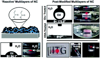 Graphical abstract: Synthesis of ‘reactive’ and covalent polymeric multilayer coatings with durable superoleophobic and superoleophilic properties under water