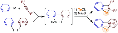 Graphical abstract: Versatile telluracycle synthesis via the sequential electrophilic telluration of C(sp2)–Zn and C(sp2)–H bonds