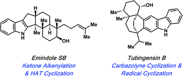 Graphical abstract: Indole diterpenoid natural products as the inspiration for new synthetic methods and strategies